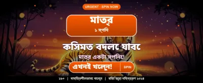 rk999 গেমিং অভিজ্ঞতা